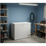 Beko CF316EWN