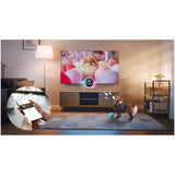 Samsung OLED 4K 48S93F (2025)