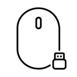 HP 250 Dual Wireless Mouse EURO