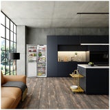 Siemens KS36NEICM extraKlasse Rvs