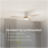 Hombli Smart Ceiling Fan & Light - White & Light Wood
