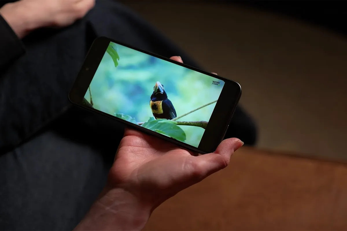 Persoon houdt Samsung Galaxy A57 horizontaal vast terwijl er een natuurvideo wordt afgespeeld. Op het scherm is een kleurrijke vogel te zien die op een tak zit.