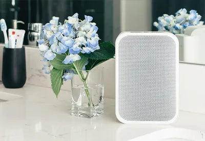 Bluesound Pulse Flex | Te koop bij Expert