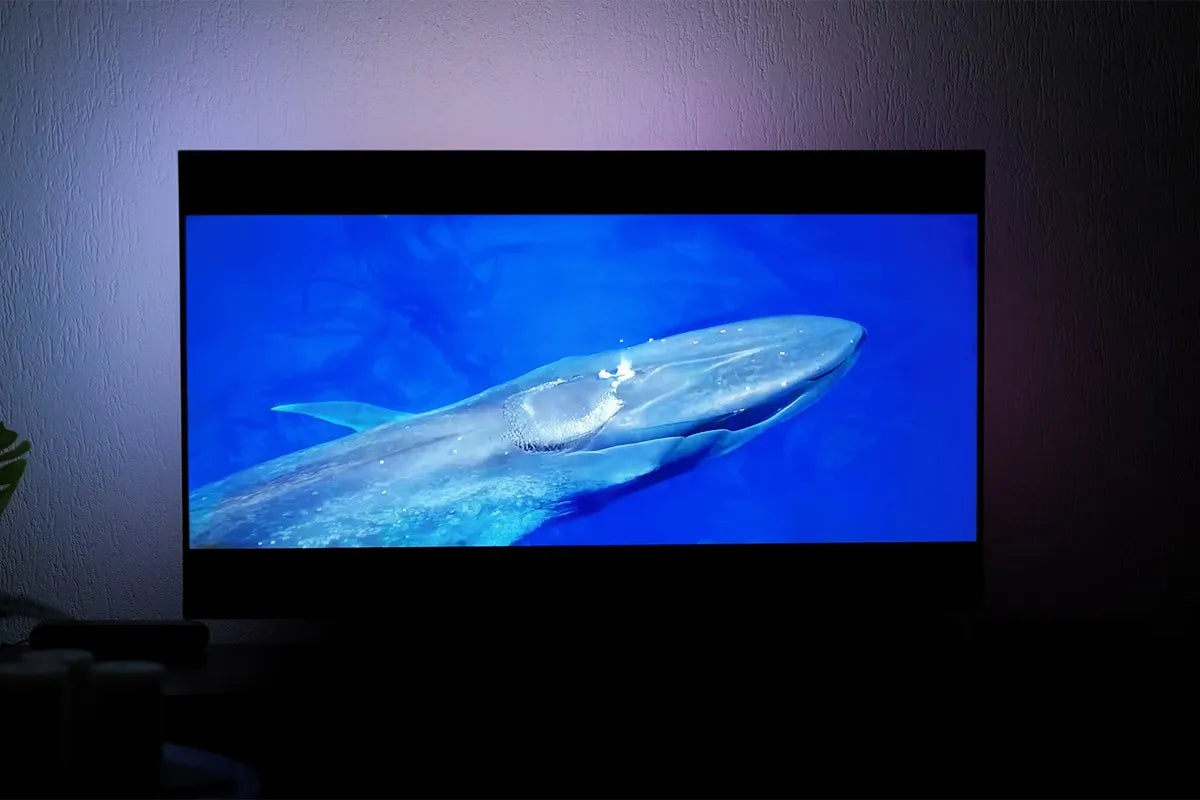 Philips The One 2025 die een natuurdocumentaire afspeelt met daarop een groot beeld van een walvis onder water in helderblauw water, terwijl aan de muur achter de tv zachte paarse sfeerverlichting zichtbaar is die afkomstig is van Ambilight.